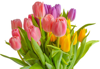 Spring bouquet. The image is isolated.