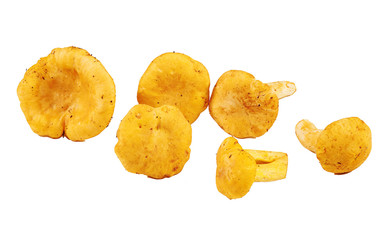 Heap of chanterelle mushrooms on white background