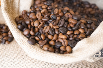 Coffee beans in a coffee sack bag (burlap bag) with soft window light