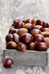 fresh  raw chestnuts in a wooden box on wooden background