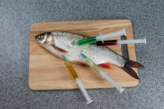 Raw fish, not cooked. White fish on a cutting Board riddled with syringes with different drugs.