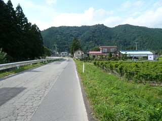 田舎の道路