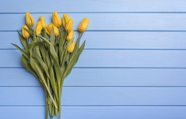 Yellow tulips on blue boards.