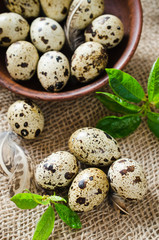 Obraz premium Fresh Organic Quail Eggs and Spring Foliage.