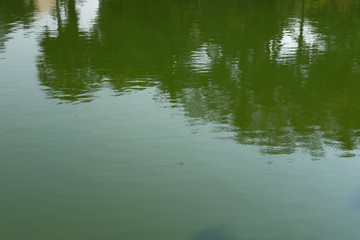 Green water surface