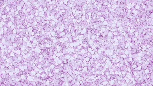 Rapidly Growing  Tentacles -    Video Footage  