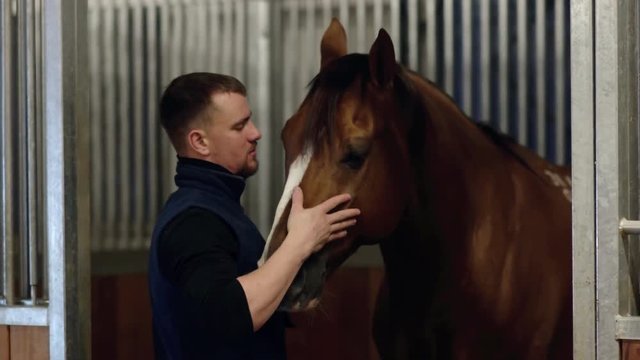Close up portrait of a man feeding and caressing a horse. Young guy playing with brown horse in a stabled. Care and love for the animals.