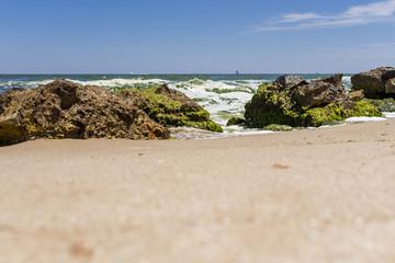 Big stones on the beach with seaweed