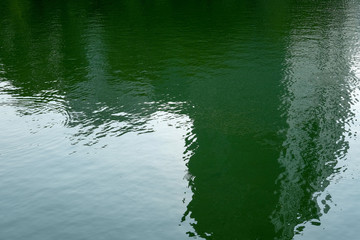 Green water surface