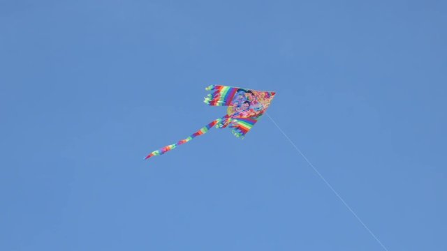 kite in the sky
