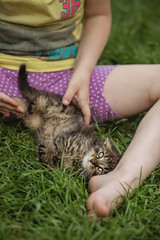 Little girl playing with her little kitten in the garden.