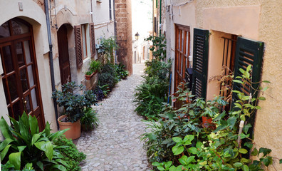 Fototapeta na wymiar Plants in narrow street in Valldemossa a village on the island of Majorca, Spain