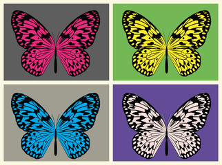 Plakat A Illustrated Set Of Four Colorful Rice Butterflies Vector