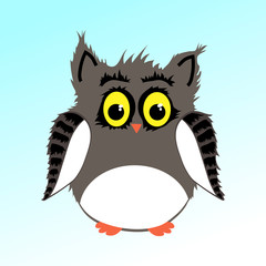 male fluffy owl