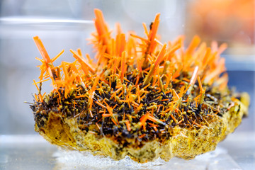 crocoite mineral tasmania