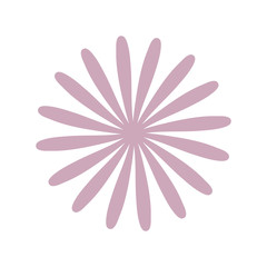 star anise flower decoration vector illustration eps 10