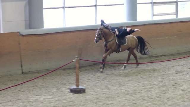 A man trick riding a horse on arena. Man doing stunts on horseback. Man riding a horse lying.