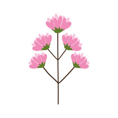 flower bunch flourishes delicate vector illustration eps 10