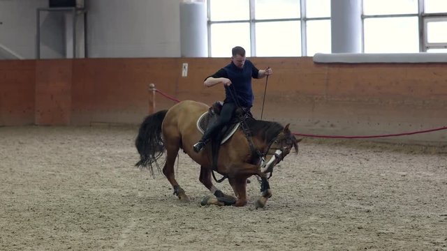 Horse to lay down. Asking a horse to lie down when riding. Laying down horse. No ropes. Natural Horsemanship.