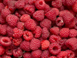 Fresh Raspberry background