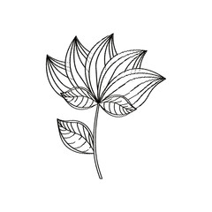 lotus flower decoration sketch vector illustration eps 10