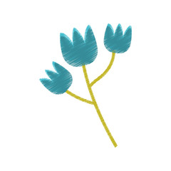 blue tulip flower spring sketch vector illustration eps 10