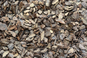 Nice wooden tree Bark of spruce texture background.