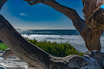 Carmel Beach California