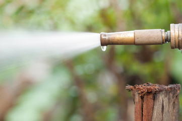 Watering in the garden.