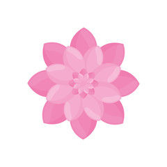 pink flower garden decoration vector illustration eps 10