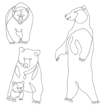 Bear bear cubs, set vector illustration doodle. Continuous line. For an icon, a loot, a background, a notebook and web design cover