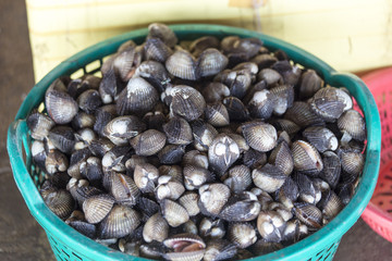 Heap of mollusks in seafood market