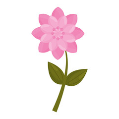 pink flower stem leaves vector illustration eps 10