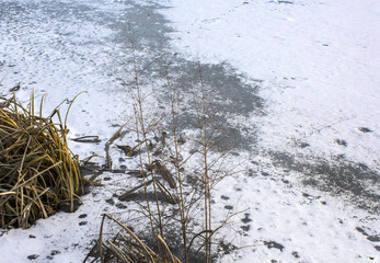 Frozen lake and reeds - 140374311