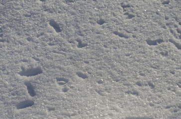 Snow background at garden in Sofia park, Bulgaria