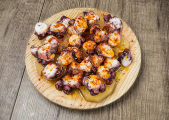 Pulpo