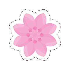 pink flower garden decoration color cut line vector illustration eps 10
