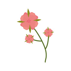 flower geranium branch spring icon vector illustration eps 10