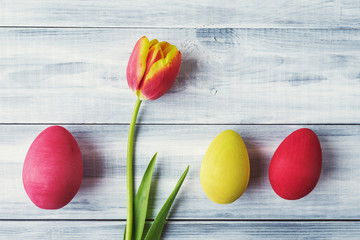 Tulip with painted eggs over wooden background