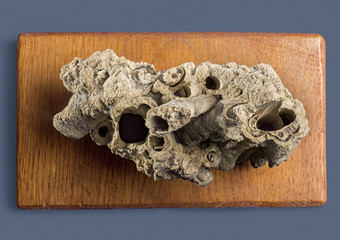 Duckstein - Rock - Kalktuff - old material for housebuilding in germany