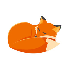 Obraz premium Vector cartoon style illustration of sleeping fox.