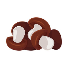 Vector cartoon style illustration of mushrooms.