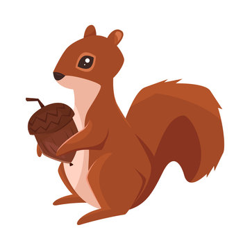 Vector cartoon style illustration of squirrel with acorn