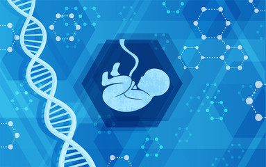 Vector abstract molecular background for genetics microbiology and biochemestry theme. Fetus and DNA.