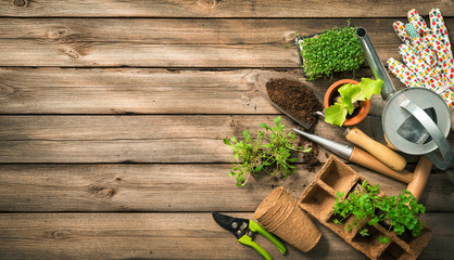 Gardening tools, seeds and soil on wooden table - obrazy, fototapety, plakaty