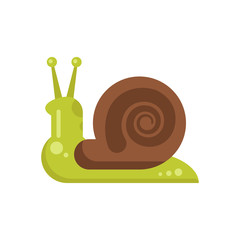 Vector flat style illustration of snail.