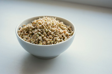 Green sprouted buckwheat in a white bowl