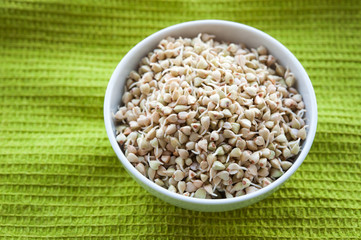 Green sprouted buckwheat in a white bowl