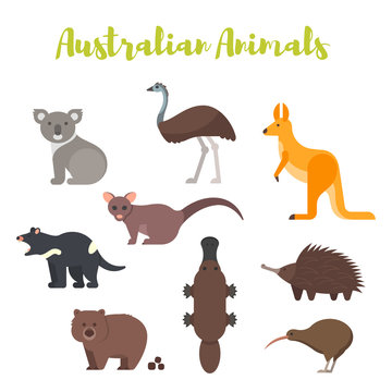 Vector flat style set of Australian animals. 