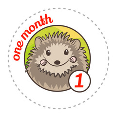 Monthly baby sticker